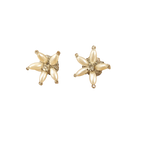 Brincos Sea Star