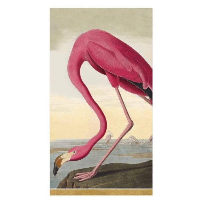 Guardanapos de papel Audubon Birds