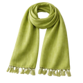 Pashmina em Seda Artesanal Verde Lima | Feita à Mão na Índia