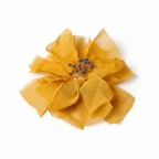 Packshot - Flor Amarela Mostarda